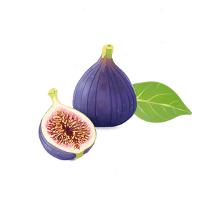 Fig Inspired Wallpaper PNG 98 PNG