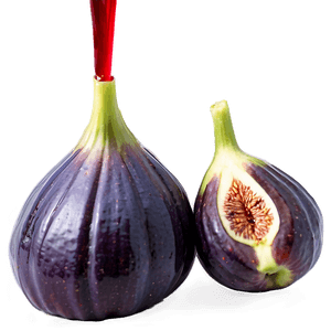 Fig Syrup Drizzle PNG 06202024 PNG