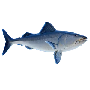 Fin In Deep Ocean Png 37 PNG Image