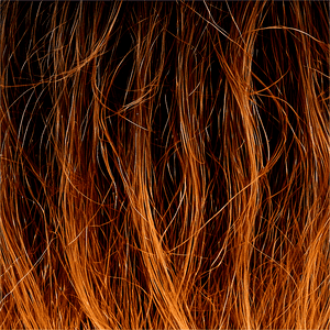 Fine Hair Texture PNG bco PNG
