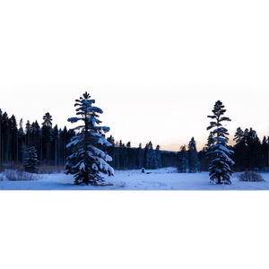 Finland Landscape PNG 06232024 PNG image with transparent background