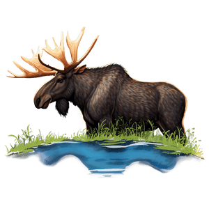 Finland Moose Wildlife PNG lcy PNG image with transparent background