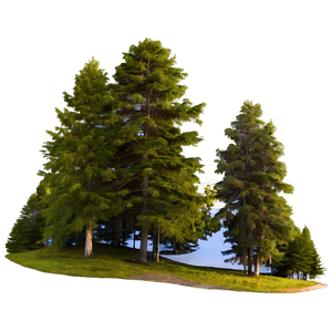 Finland Nature Scenery PNG 06232024 PNG image with transparent background