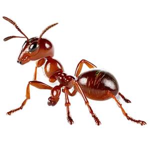 Fire Ant Worker Transparent Png Cvh PNG Image