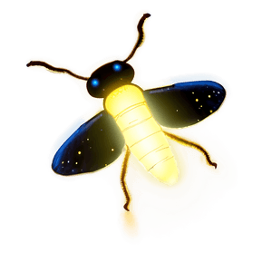Firefly Glowing at Night PNG dnh44 PNG