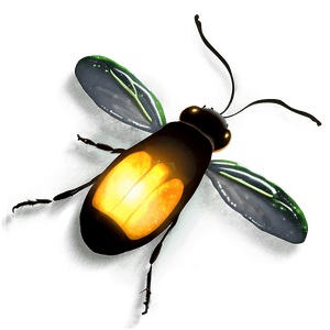 Firefly Glowing at Night PNG poa5 PNG