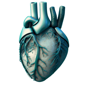 First Breath of Life PNG 06112024 PNG image with transparent background