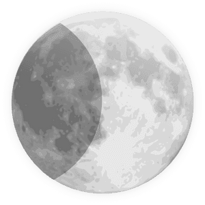 Half Moon Clip Arts - Png Moon, Transparent Png PNG with transparent background