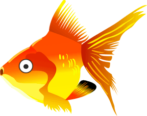 Fish Clipart Transparent Background, HD Png Download PNG image with transparent background