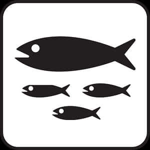 Fish Icon Set Graphic PNG image with transparent background