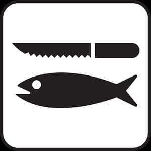 Fish Preparation Icon PNG image with transparent background