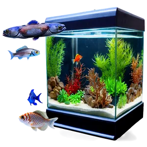 Fish Tank Background Png Qlr PNG Image