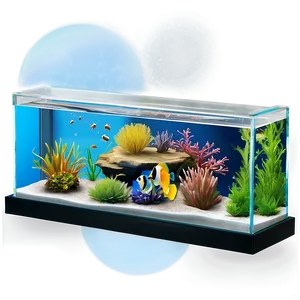 Fish Tank Divider Png Bbk PNG Image