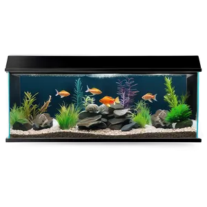 Fish Tank Gravel Png 48 PNG Image