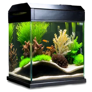 Fish Tank Landscape Png Ket13 PNG Image