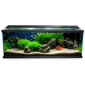 Fish Tank Setup Png 06122024 PNG Image