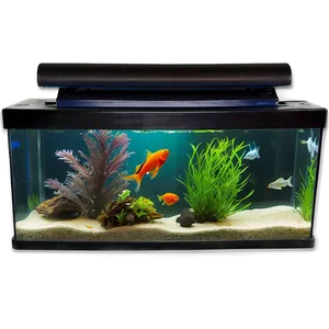 Fish Tank With Fish Png Mbd45 PNG Image