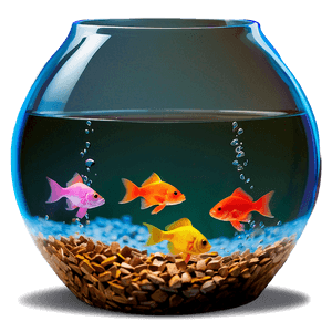 Fishbowl on Table PNG 06212024 PNG