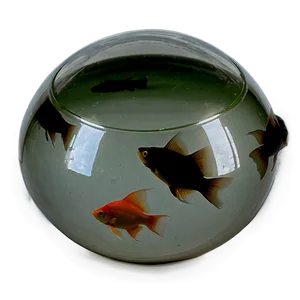 Fishbowl With Lid Png Vsu75 PNG Image