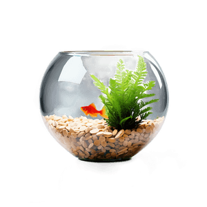 Fishbowl with Plant PNG eqj91 PNG