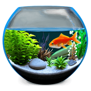Fishbowl with Plant PNG jts62 PNG