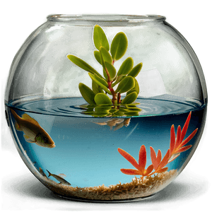 Fishbowl with Plant PNG txu PNG
