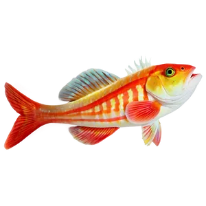 Fishes A PNG Image