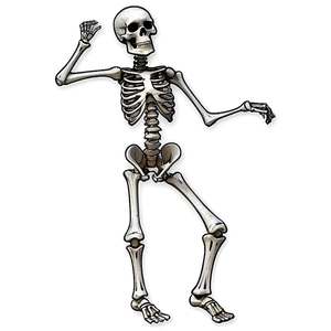 Flamenco Dancing Skeleton Png Acs84 PNG Image