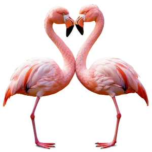 Flamingo Couple In Love Png Wdm28 PNG Image