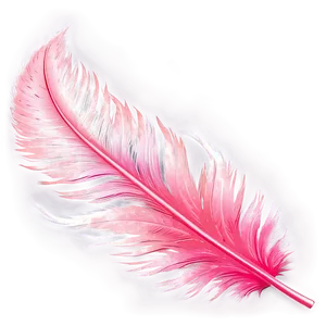 Flamingo Feather Detail Png Gjy PNG Image