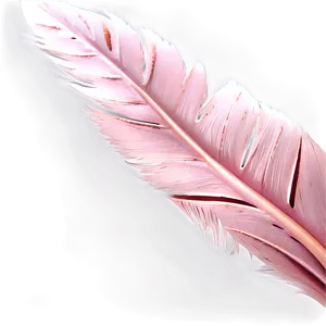 Flamingo Feather Detail Png Iop PNG Image