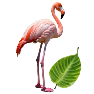 Flamingo In Tropical Garden Png Pxl PNG Image