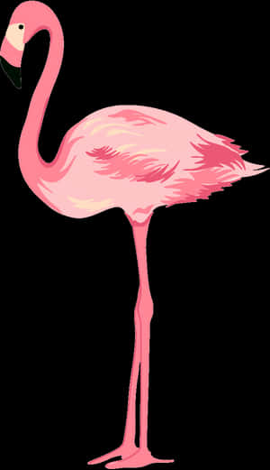 Flamingo Png, Transparent Png PNG image with transparent background