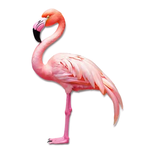 Flamingo Tropical Holiday Png Kki25 PNG Image