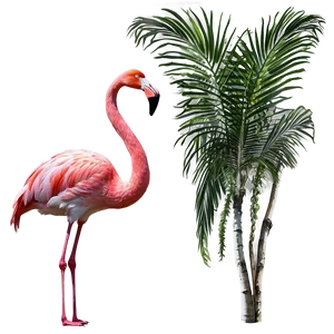 Flamingo Tropical Jungle Png Ait PNG Image