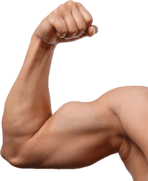 Png Image Purepng Free Cc Library Man Arm - Transparent Background Muscle Arms Transparent, Png Download PNG