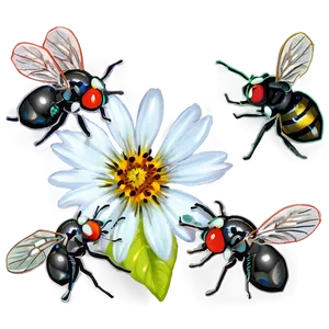 Flies On Flowers Png 06122024 PNG Image