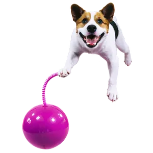 Floating Dog Toy Png 77 PNG Image