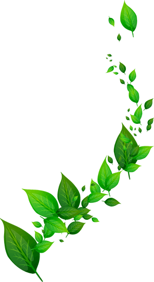Floating Green Leaves Design PNG image with transparent background