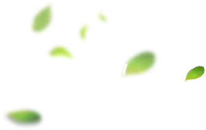 Floating Green Leaves Graphic PNG Image