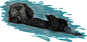 Transparent Otter Png - Sea Otter, Png Download PNG image with transparent background