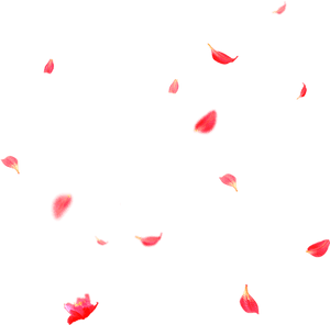 Heart, HD Png Download PNG image with transparent background