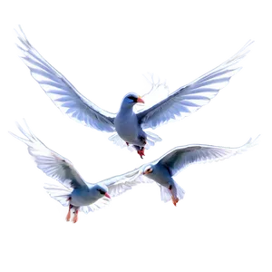 Flock Of Birds Flying Together Png Qvj PNG Image