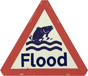 What Happens To Carp In A Flood, HD Png Download PNG with transparent background