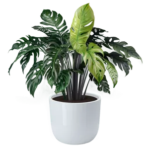 Floor Plant B PNG Image