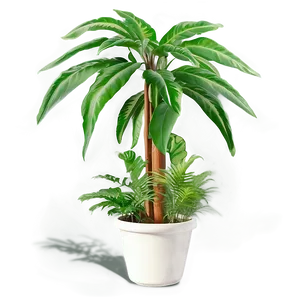 Floor Plant Design Png Ksp PNG Image