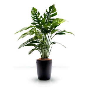 Floor Plant Design Png Sas PNG Image