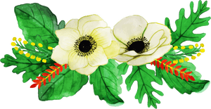 Floral_ Arrangement_ Artwork PNG image with transparent background