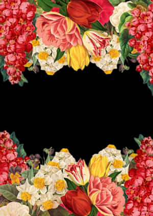 Floral_ Arrangement_ Black_ Background.jpg PNG image with transparent background