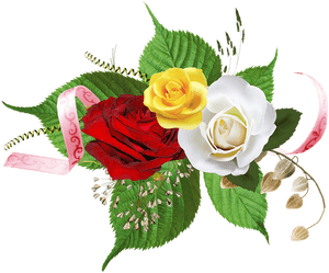 Thumb Image, HD Png Download PNG